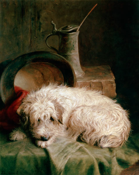 A Terrier de John Fitz Marshall