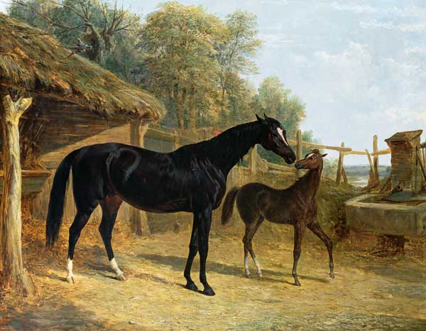 Levity, the property of J.C.Cockerill Esq., with her foal Queen Elizabeth, the property of Lord Dorc de John Frederick Herring d.Ä.