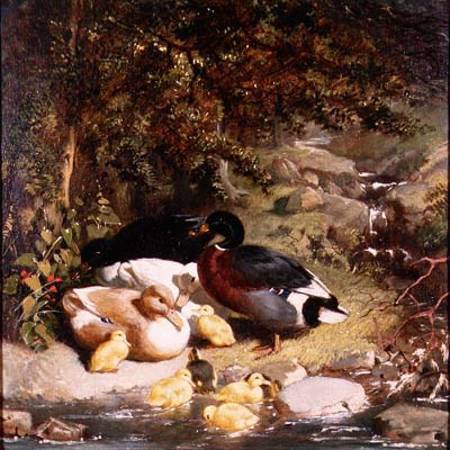 Ducks and Ducklings de John Frederick Herring d.Ä.