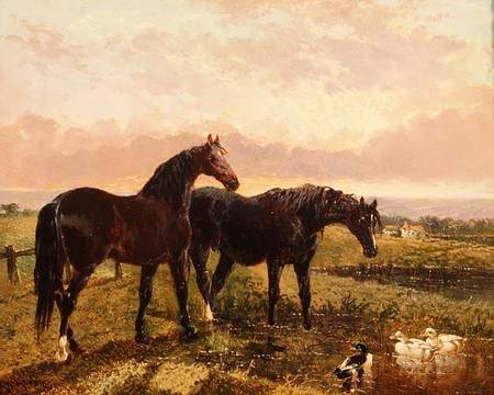 Two horses grazing at sunset de John Frederick Herring d.Ä.
