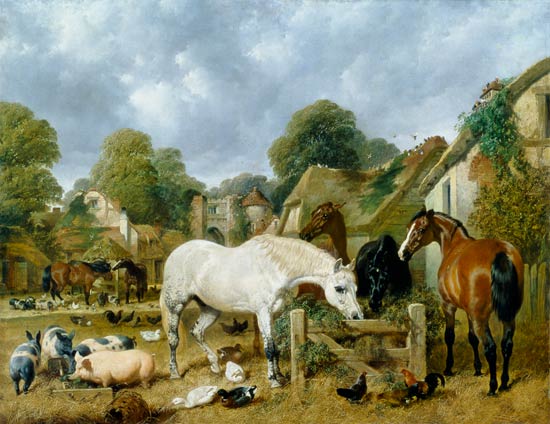 Horses in a Paddock de John Frederick Herring d.Ä.