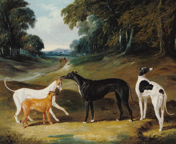 Greyhounds, 'Spot', 'Skylark', 'Nettle' and 'Sky' de John Frederick Herring d.Ä.