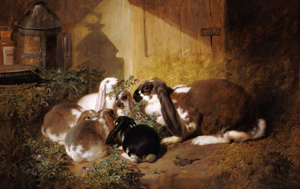 Rabbit family de John Frederick Herring d.Ä.