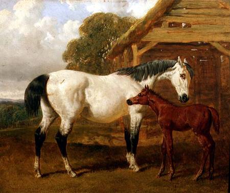 A Mare and Foal before a Barn de John Frederick Herring d.Ä.
