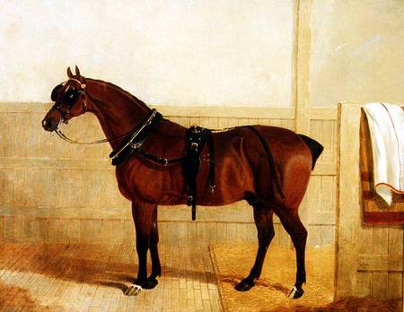 Prize Shire Horse in Harness de John Frederick Herring d.Ä.