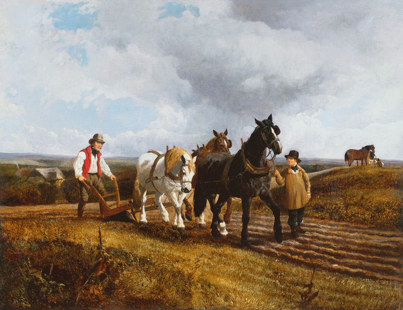 Ploughing de John Frederick Herring d.J.