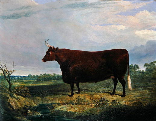 Portrait of a Brown Bull, 1831 (oil on canvas) de John Frederick Herring Snr