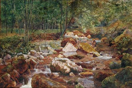 A Rocky Stream Overhung with Trees (w/c and bodycolour with gum arabic on paper) de John George Sowerby