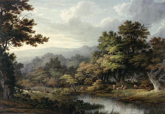 Forest Glade with Pool and Deer (w/c on paper) de John Glover