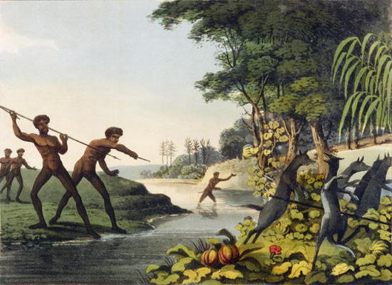 Hunting the Kangaroo, aborigines in New South Wales engraved by Matthew Dubourg (fl.1813-1820) 1813 de John Heaviside Clark