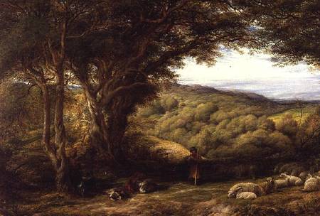 Under the Hawthorn de John Linnell