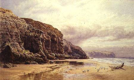 The Coast of Cornwall de John Mogford