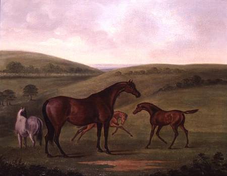 Mare with Foals in a Landscape de John Nost Sartorius