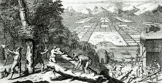 Illustration from ''The Reasons for establishing the Colony of Georgia'' Benjamin Martyn (1699-1763) de John Pine