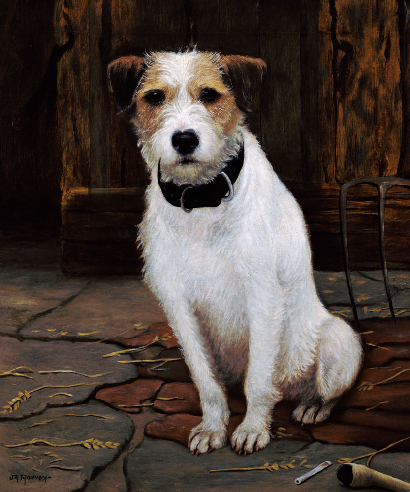 Portrait of Terrier de John Rabone Harvey