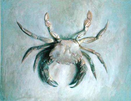 Velvet Crab de John Ruskin