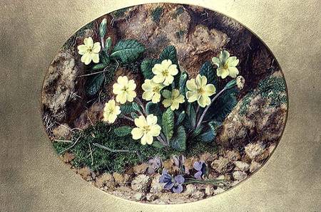 Primroses and Violets de John Sherrin