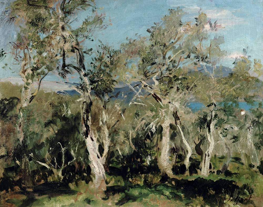 Olives, Corfu de John Singer Sargent