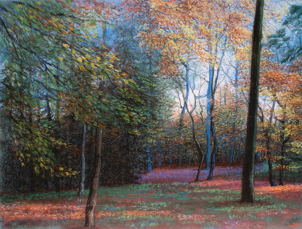 Autumn in the Woods de Margo Starkey