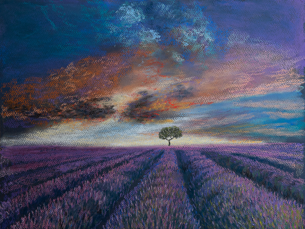 Lavender fields of Normandy de Margo Starkey