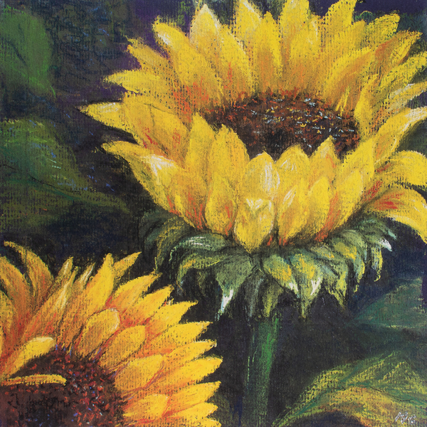Sunflowers de Margo Starkey