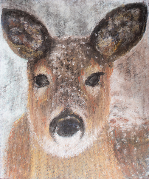 Young Deer in Winter de Margo Starkey
