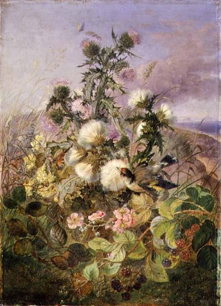 A Goldfinch and a Butterfly amongst Thistles and Blackberry Blossom de John Wainwright