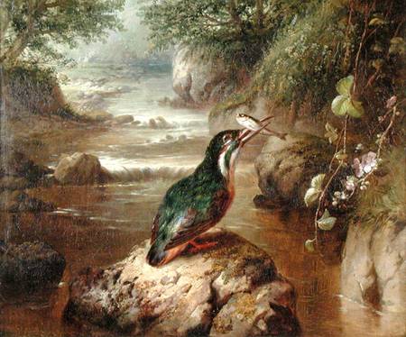 The Haunt of the Kingfisher de John Wainwright