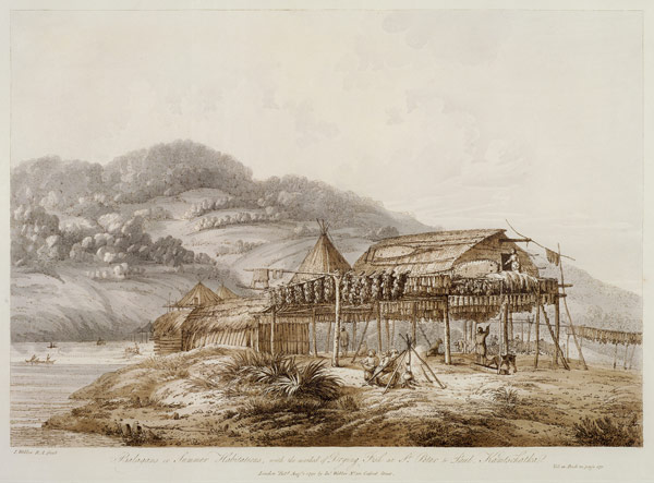 Balagans or Summer Habitations, with the Method of Drying Fish at St. Peter and Paul, Kamtschatka, f de John Webber