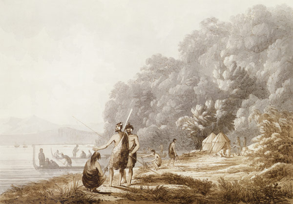 View in Queen Charlotte's Sound, New Zealand, from 'Views in the South Seas', pub. 1790 (etching) de John Webber