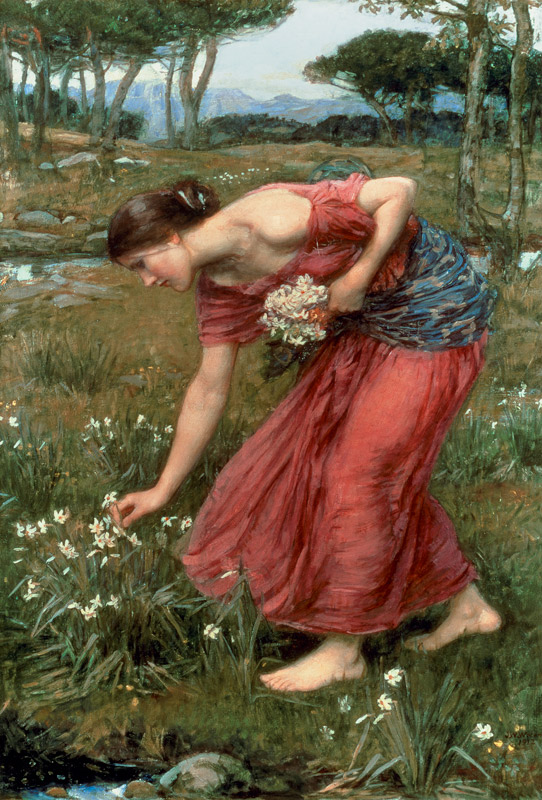 Narcissus de John William Waterhouse