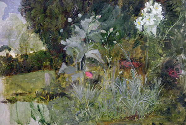 Study of Flowers and Foliage, for 'The Enchanted Garden' de John William Waterhouse