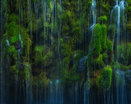 Mossy Waters
