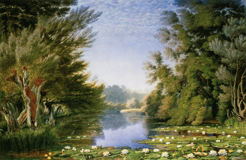 Water Lillies on the Cherwell de William Turner