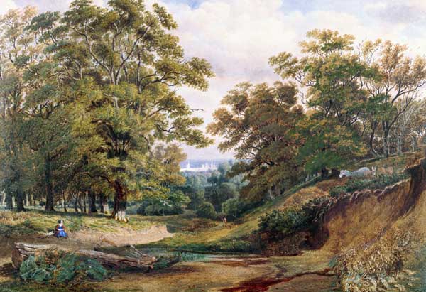 A Scene in Bagley Wood near Oxford (w/c and bodycolour) de William Turner