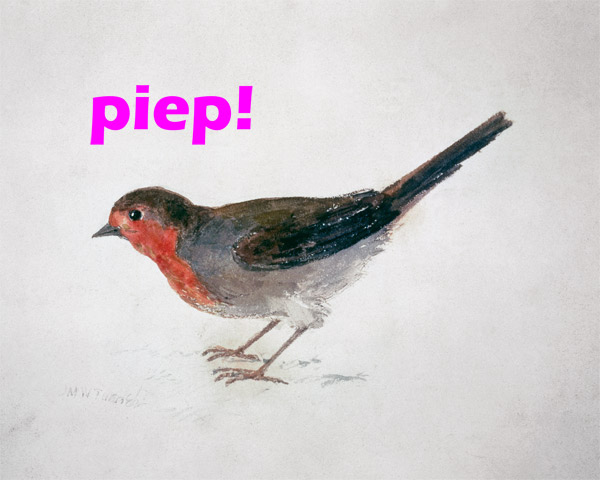 Robin, from The Farnley Book of Birds  - "piep!" de William Turner
