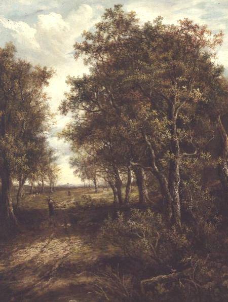 A Clearing in the Woods de Joseph Thors