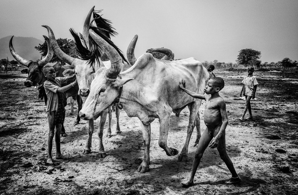Mundari tribe children taking care of the cattle - South Sudan de Joxe Inazio Kuesta Garmendia