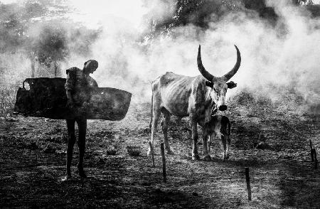 Mundari chlid carrying dung - South Sudan