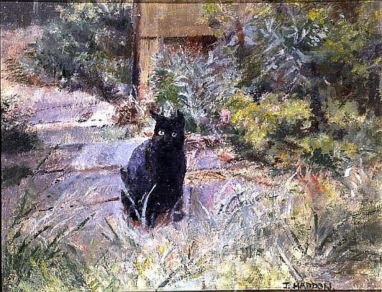 Fat Mog in the Garden (oil on canvas)  de Joyce  Haddon