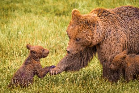 High Five