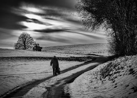 rural winter scene