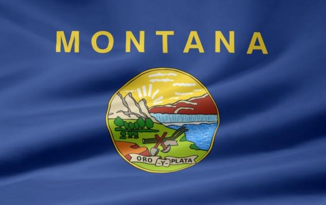 Montana Flagge de Juergen Priewe
