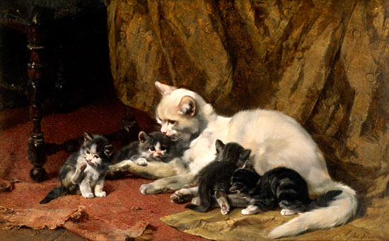 Cat with four boys on an old carpet. de Julius Adam