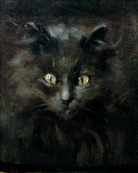 Portrait of a cat de Julius Adam