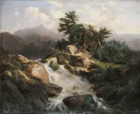 Forest Landscape with Waterfall