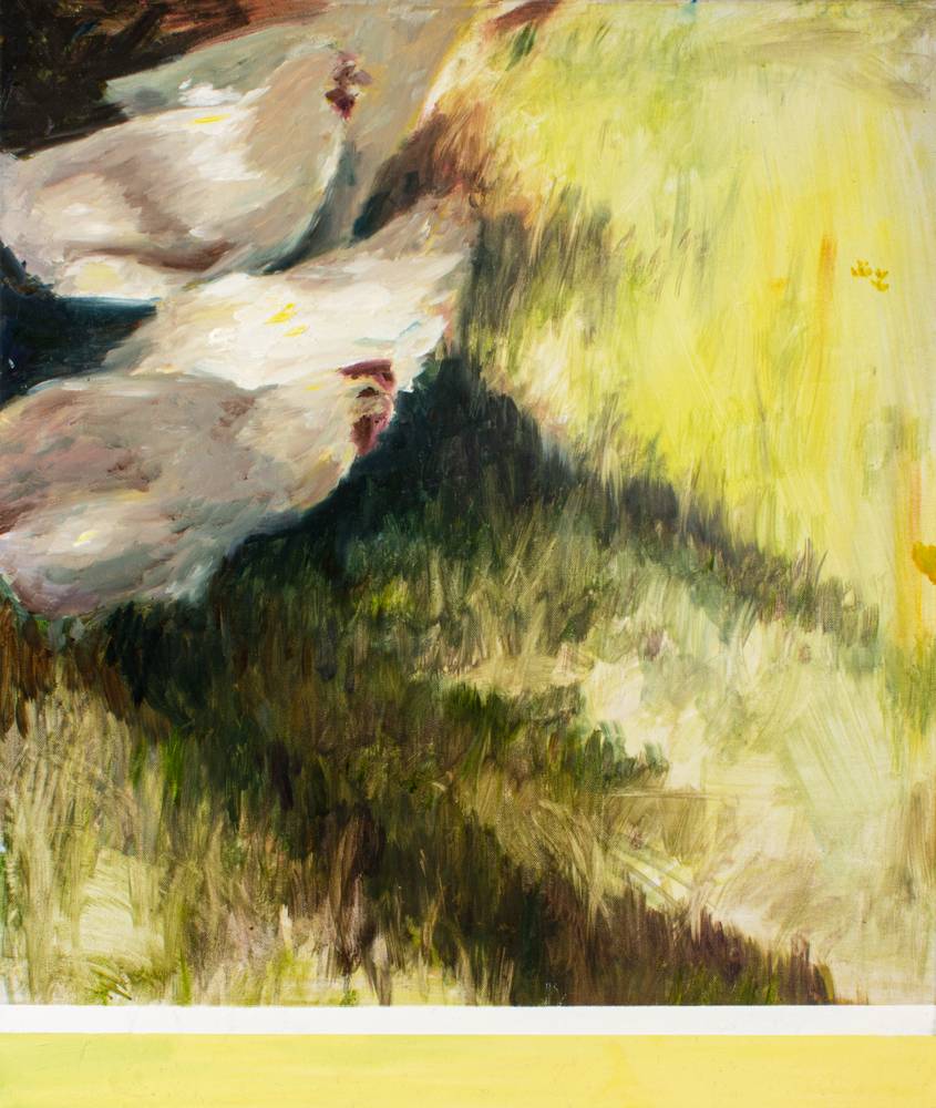 Hühner im Schatten de Julius Müller