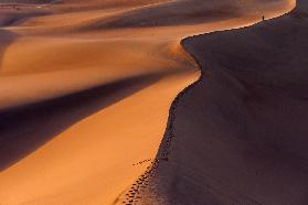 Desertwalk