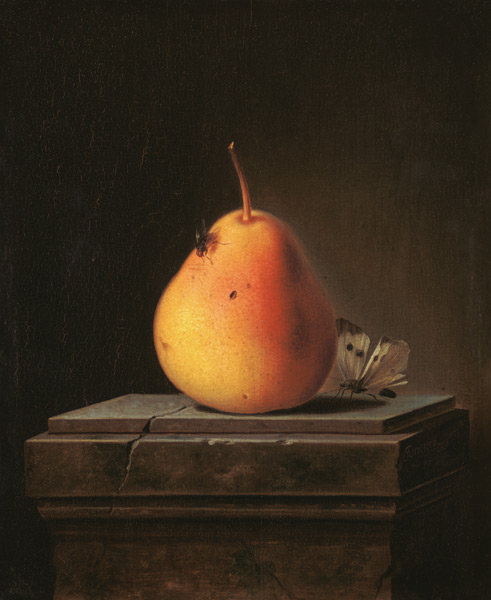 Still Life with Pear and Insects de Justus Juncker
