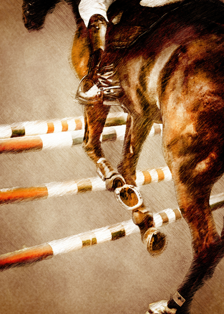 Horse Riding Sport Art (5) de Justyna Jaszke